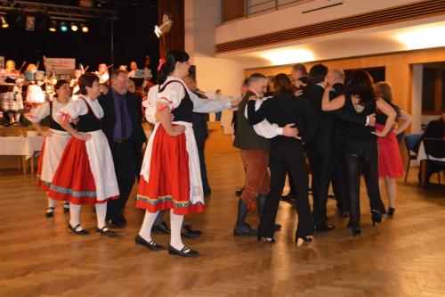 12.2.2016 - Svíčkový ples města 2016